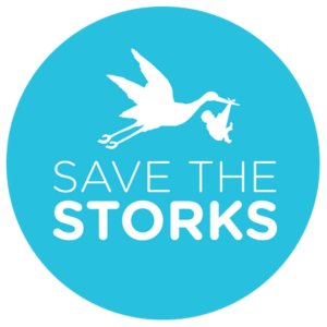 Live Painting Fundraiser with Save the Storks | Jamie Wells Artist
