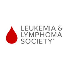 Live Painting Fundraiser with Leukemia and Lymphoma Society | Jamie Wells Artist