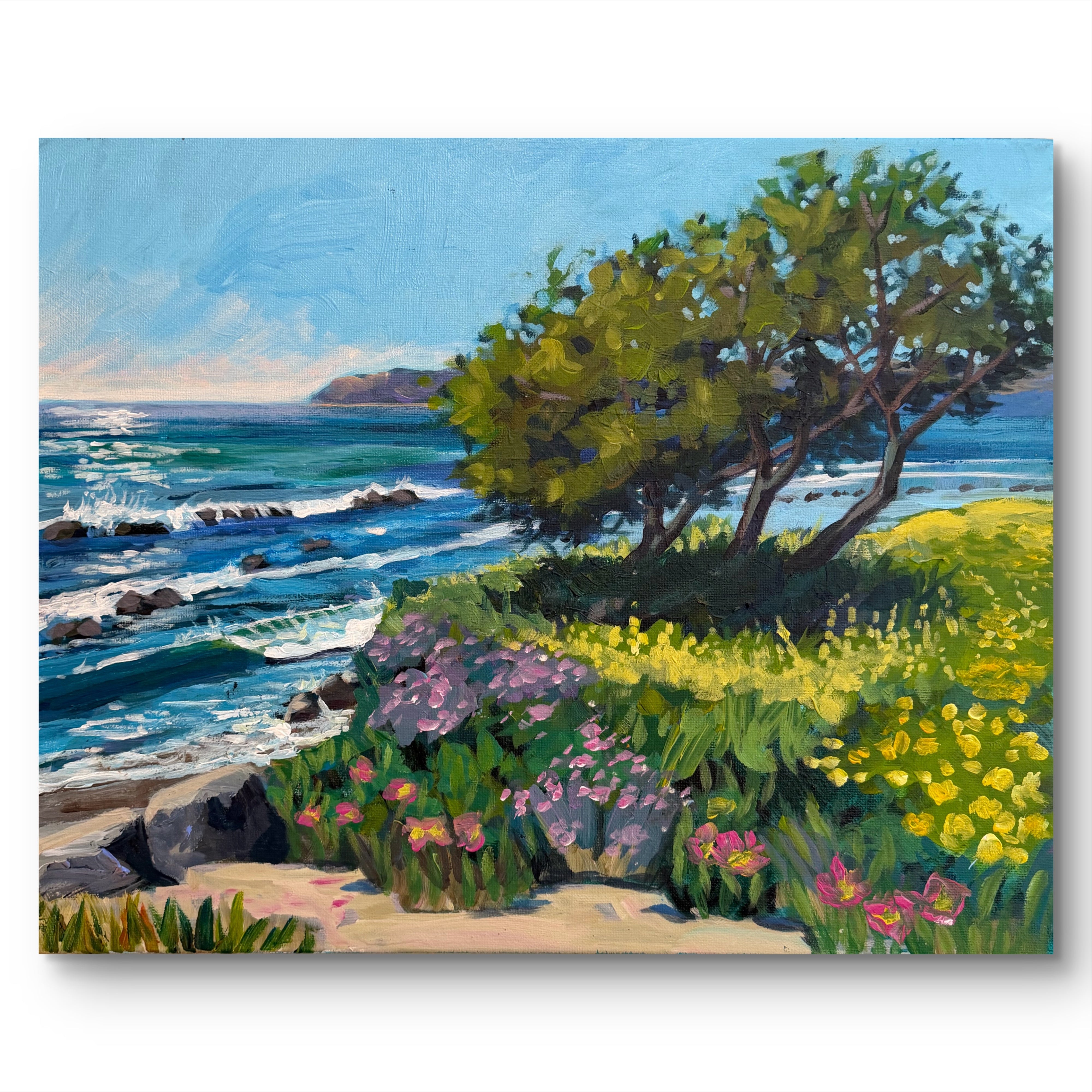 Carpinteria Beach